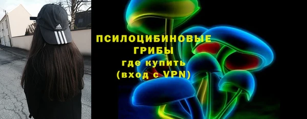 гидра Арсеньев