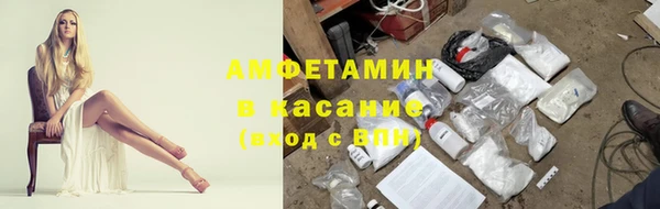 прущие крисы Аркадак