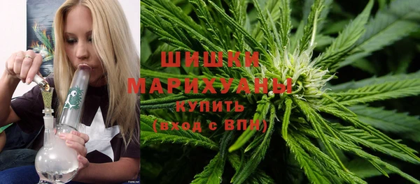 гидра Арсеньев