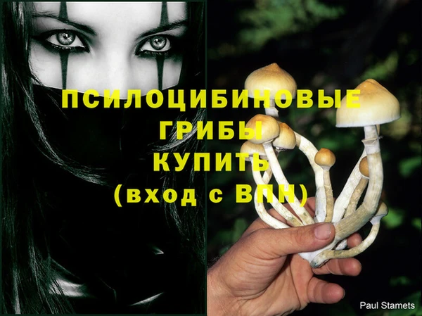 прущие крисы Аркадак