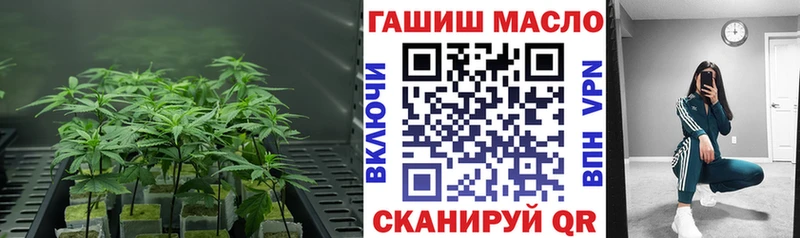 ТГК THC oil  Пошехонье 